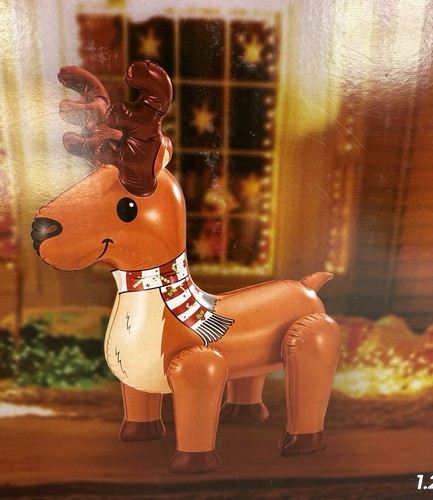 Holiday time gonfiabile natale - holiday,