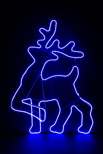 Corda neon luce - luce, sagoma