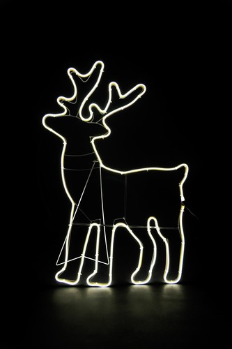 Sagoma corda luminosa - , neon