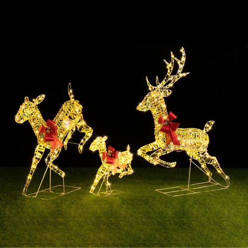 Famiglia renne luminose di - 3,