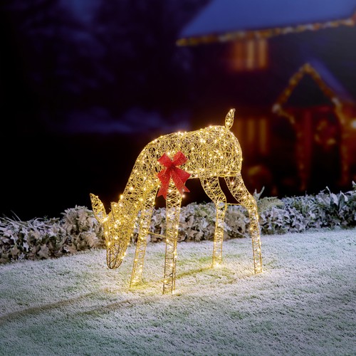 Renna illumina decorazione - renna,